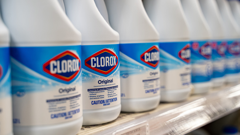 Bottles of Clorox bleach on a store shelf