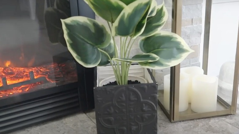 Plant inside square planter made from vinyl tiles