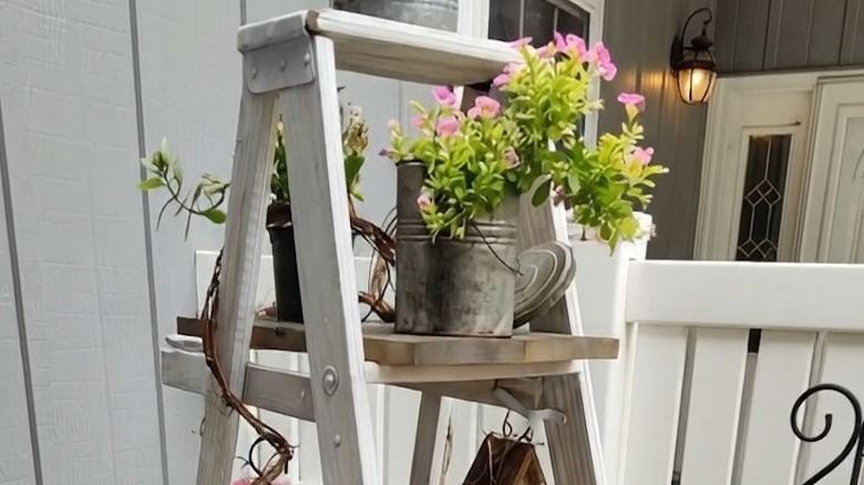 Step ladder as plant display