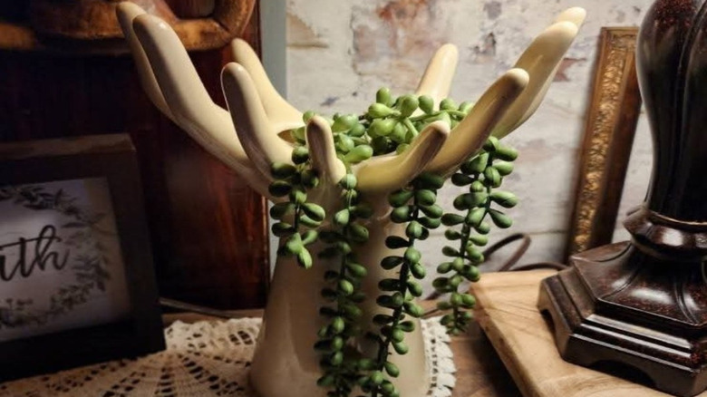 Hand jewelry holder holding vining succulent