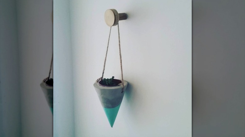 A small succulent hanging from a curtain tie back on a wall