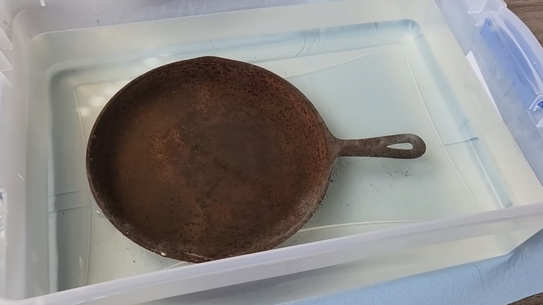 Similar to citric acid solution, iron skillet in vinegar/water solution to remove rust