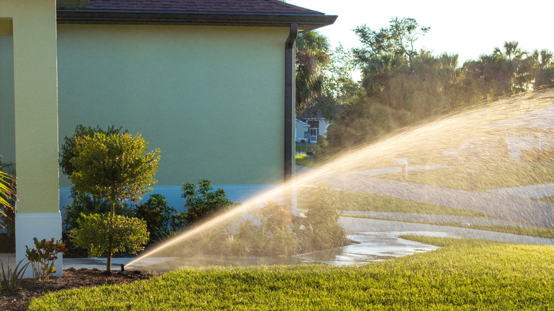 Sprinkler spraying water across a front lawn in morning or evening light near a house