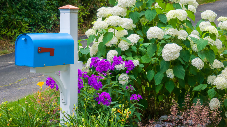 A blue mailbox next to flowers