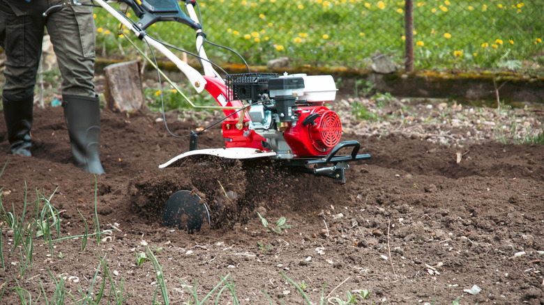Gardener using a garden tiller on a lawn