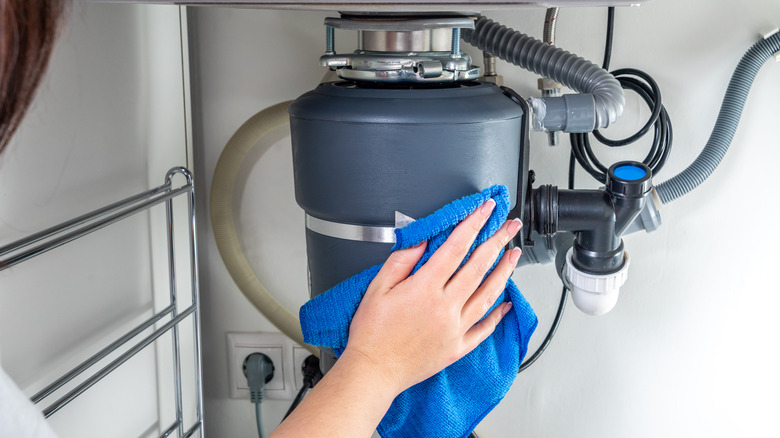 hand cleaning garbage disposal 