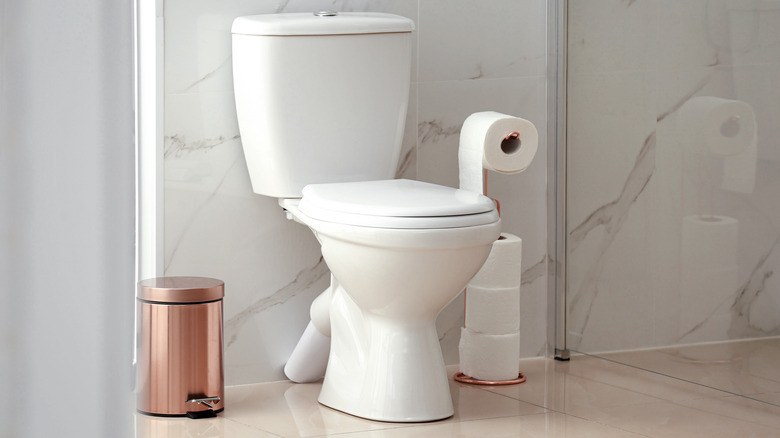 toilet in modern bathroom