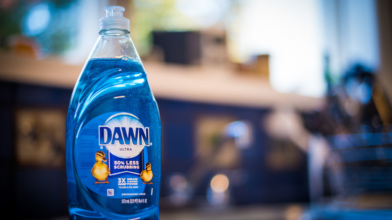 Dawn dish soap