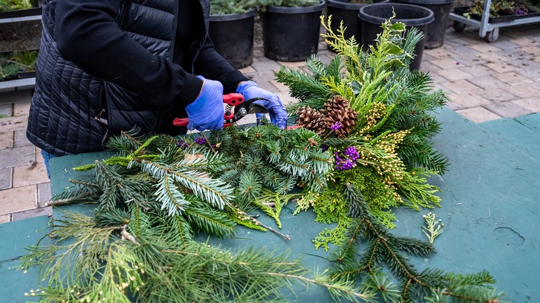 A person clipping evergreens for a holiday display.
