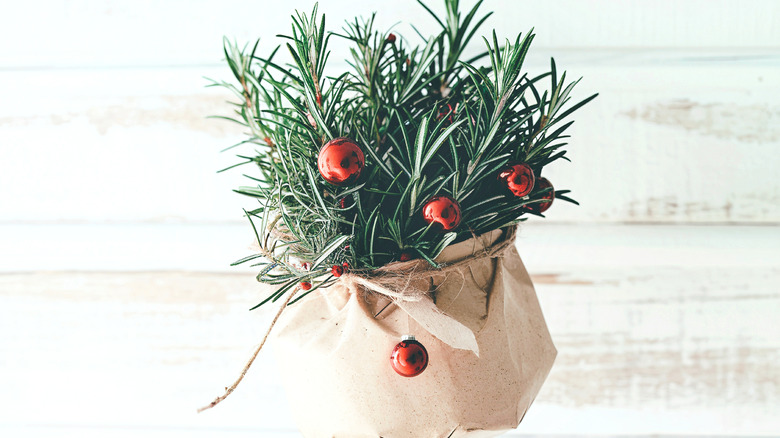 A holiday decoration of rosemary and red ornaments in a paper cup and twine.