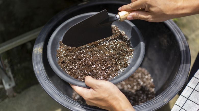 A person fills a small black bowl with potting soil using a small shovel