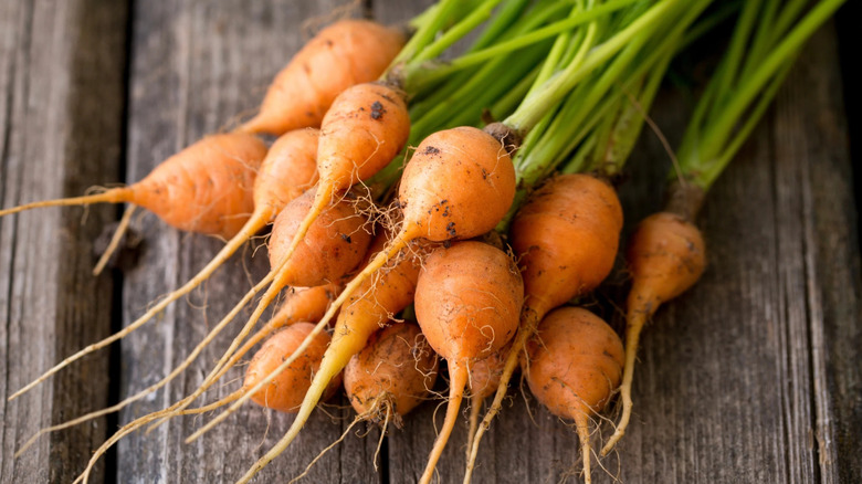 Small rounded 'Paris Market' carrots on wood