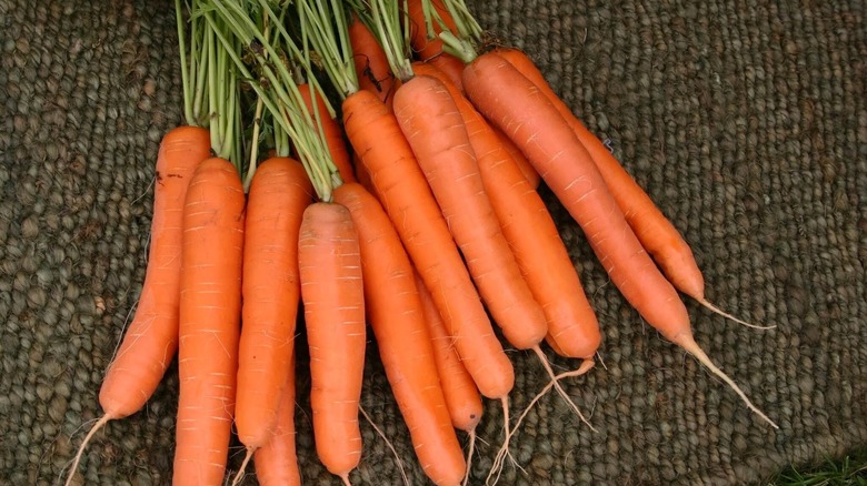 Carrots lined up against a natural fabric