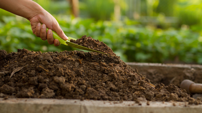 A hand mixing soil with a green trowel