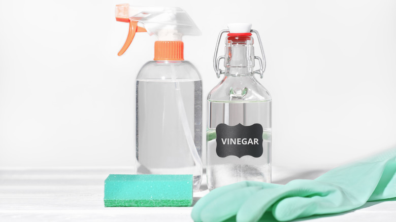 Glass bottle labeled vinegar near a spray bottle, sponge, and rubber glove