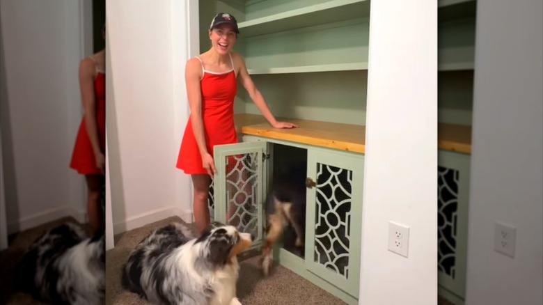 dog crate built in cabinets