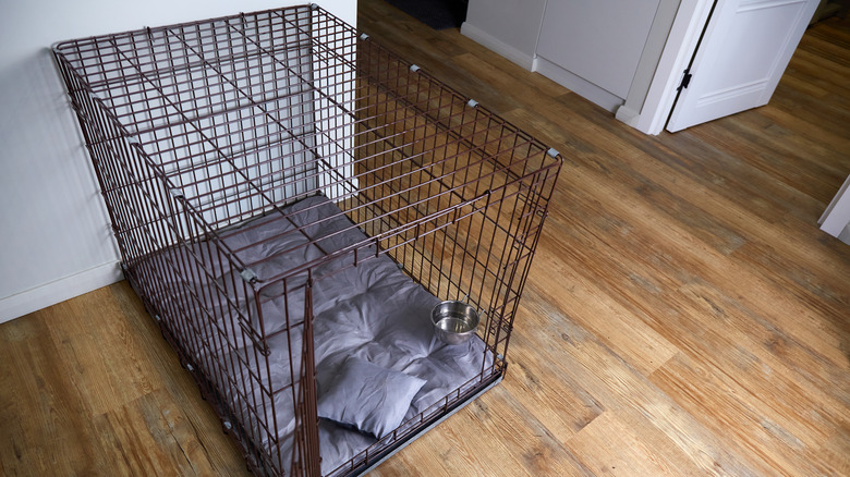 empty dog crate in home