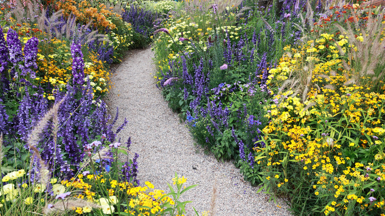 cottage-style gravel path with wildflowers
