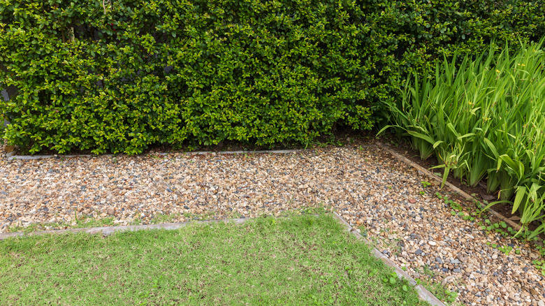 light-colored gravel next to lawn