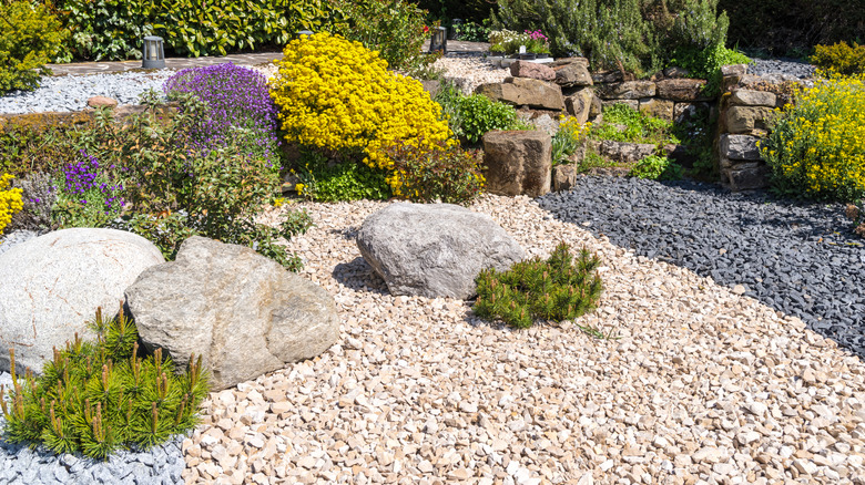 gravel and rocks colorful plants