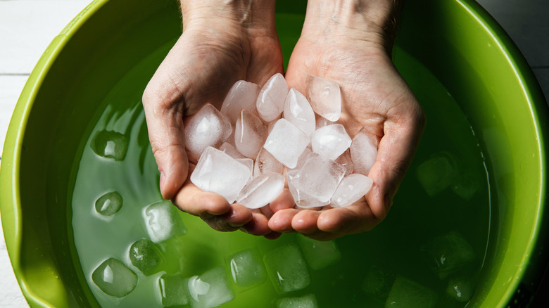 A person holds ice over a bowl of water