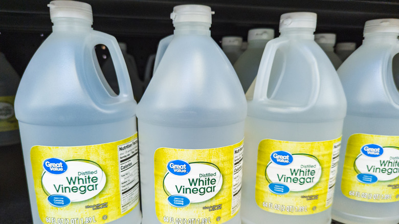 White vinegar bottles on a store shelf