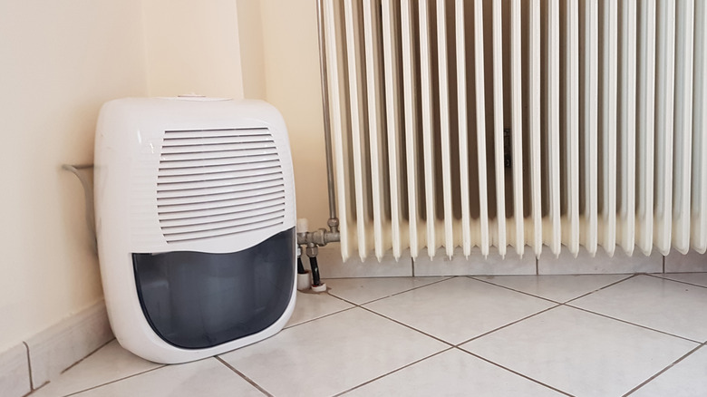 A humidifier sitting next to a raditator