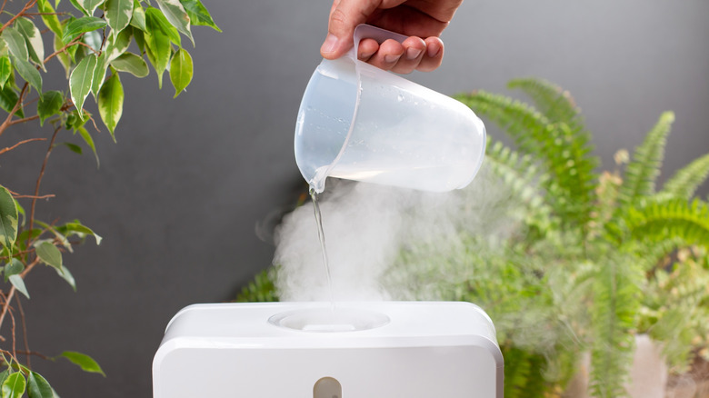 Person filling a humidifier out of a cup