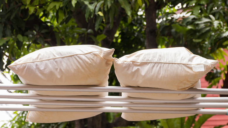Pillows sitting out in the sunlight