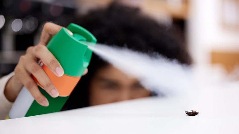 Woman spraying bug spray at a bug on a countertop