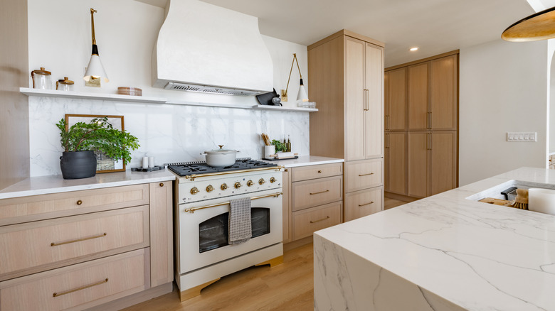 Modern kitchen with plenty of cabinets