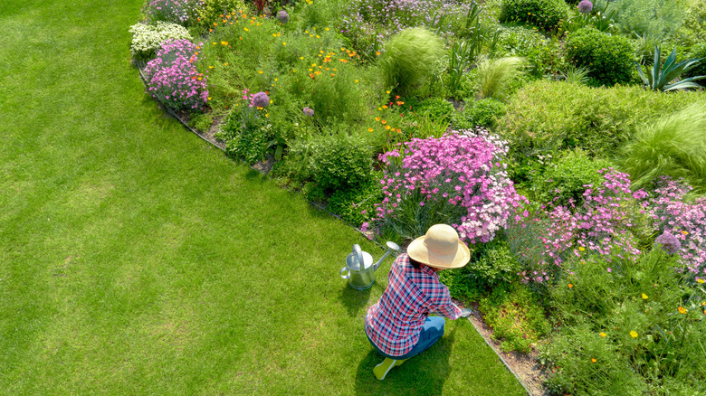 A gardener wearing a sun hat tends their flower-filled garden in mid-summer.
