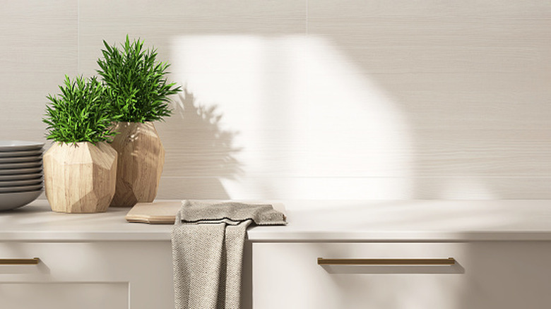 Beige kitchen table counter, plant, cutting board on countertop in sunlight.