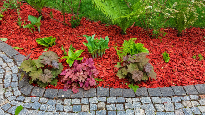 A garden with red mulch