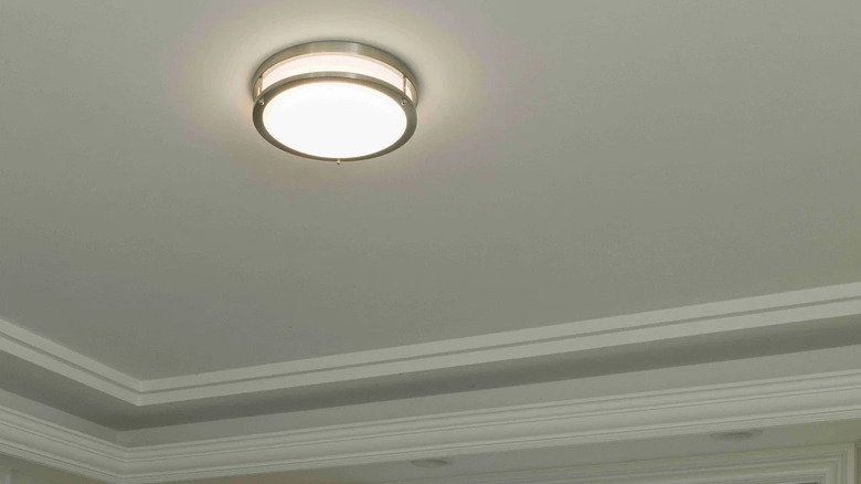 A flush mount  Energetic Lighting fixture on a ceiling