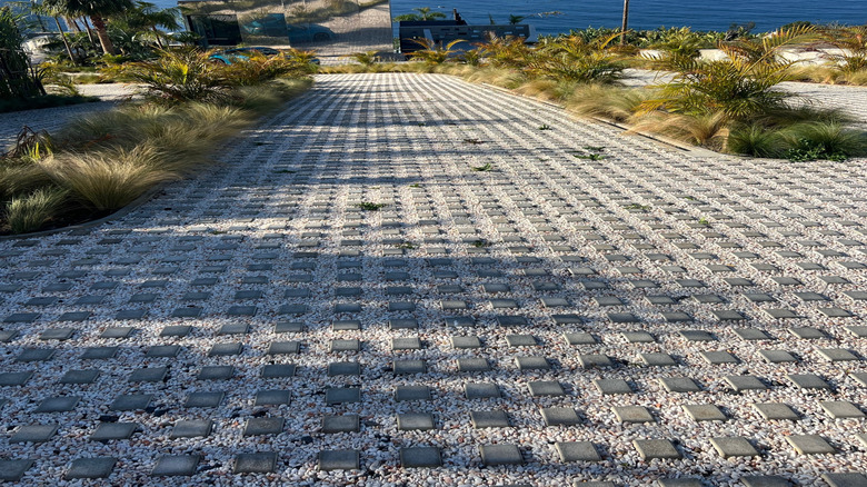 Crushed shell driveway leading to oceanfront house