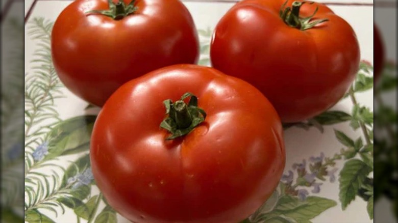 Freshly picked big beef tomatoes sit on a tablecloth.