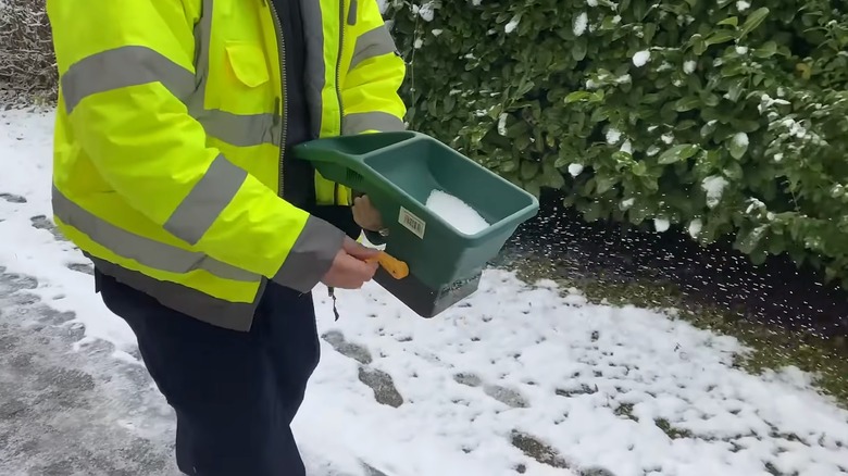 Screenshot of person wearing yellow jacket using a hand salt spreader on snow
