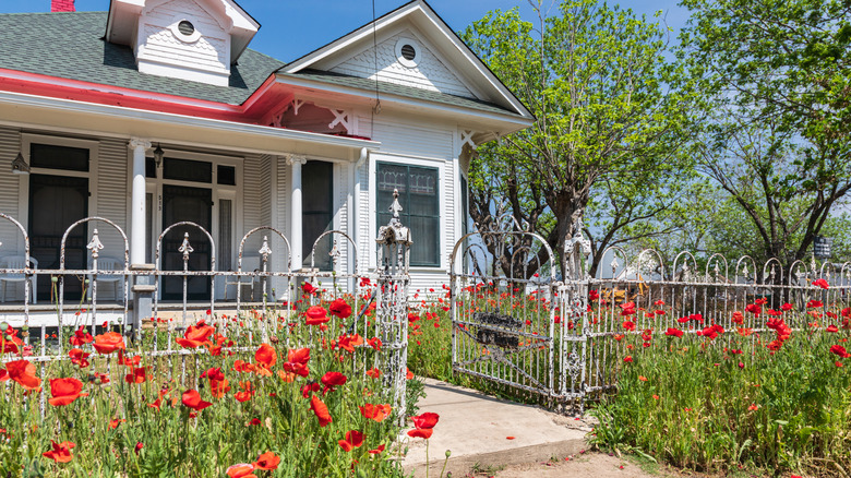 Texas house with red flowers in front