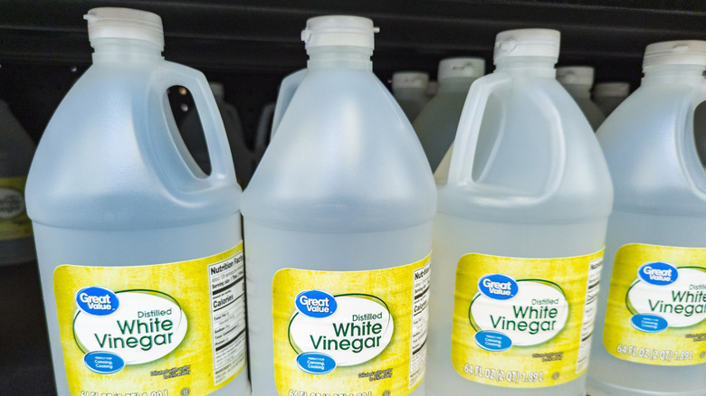 Bottles of distilled white vinegar on the shelf, the labels indicate they're from Great Value (Walmart)