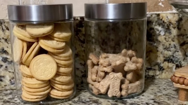 Two glass jars holding cookies and dog treats