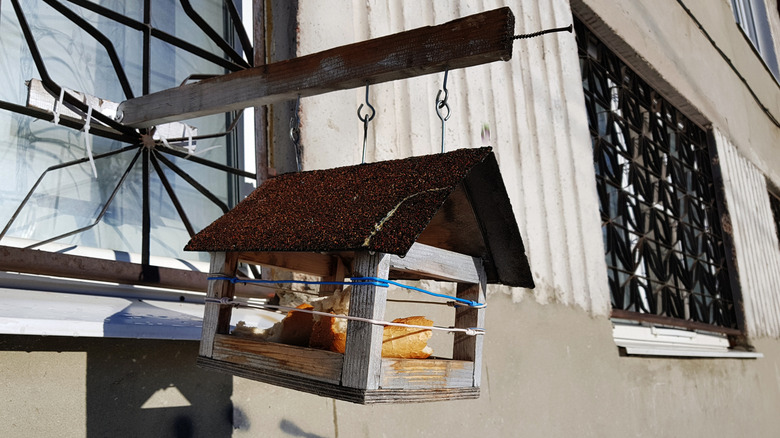 DIY bird feeder mounted on window