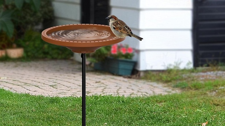 A bird perched on a Wiwilron bird bath