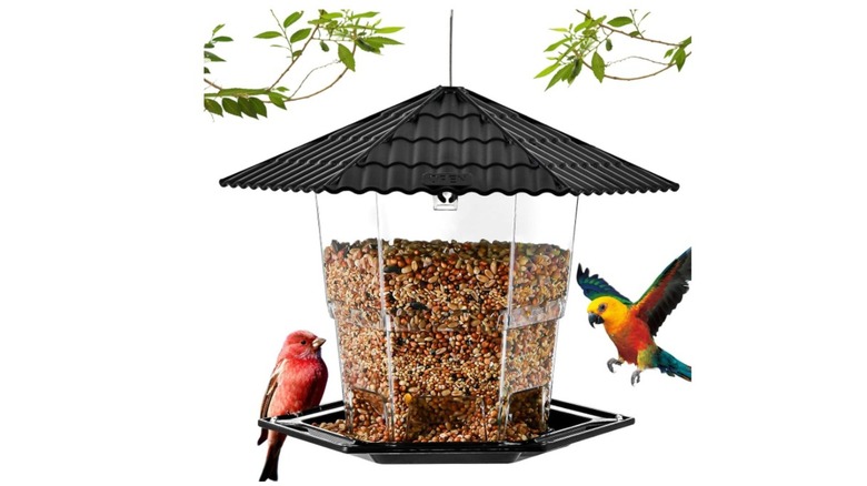 Birds feeding at a Jealoeur hanging bird feeder