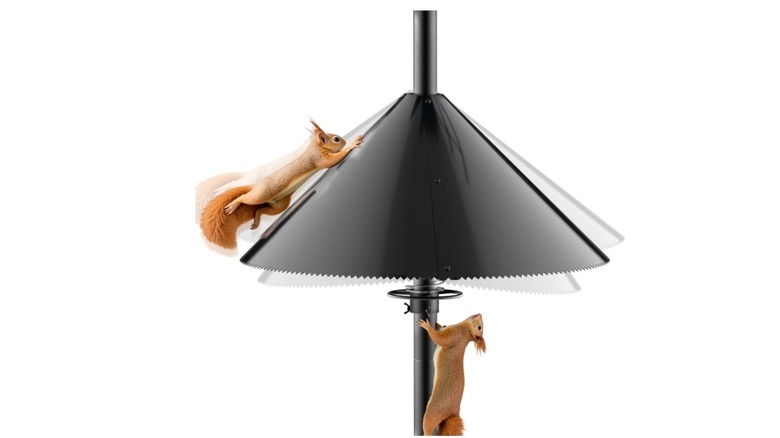 An Onlyfly squirrel baffle with two squirrels