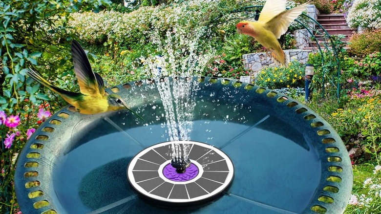 A SZMP solar fountain in a bird bath