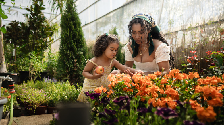 Mother and daughter picking out marigold flowers