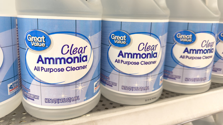 Jugs of clear ammonia on store shelf