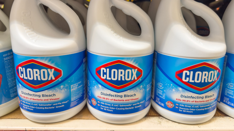 Clorox bleach on store shelves