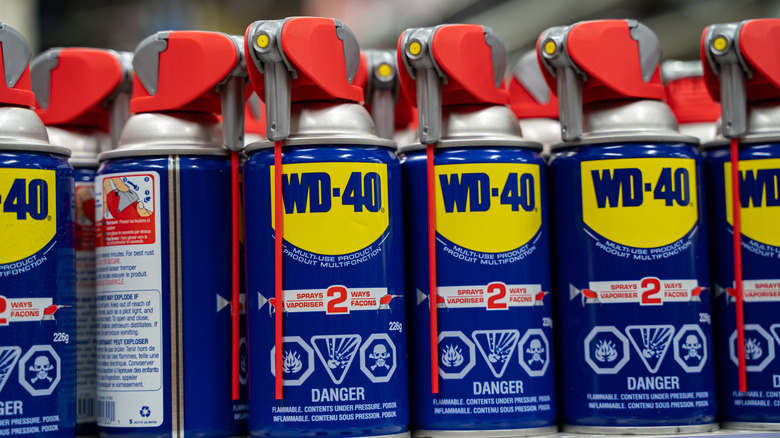 WD-40 cans on a store shelf